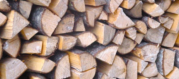 brandhout.jpg