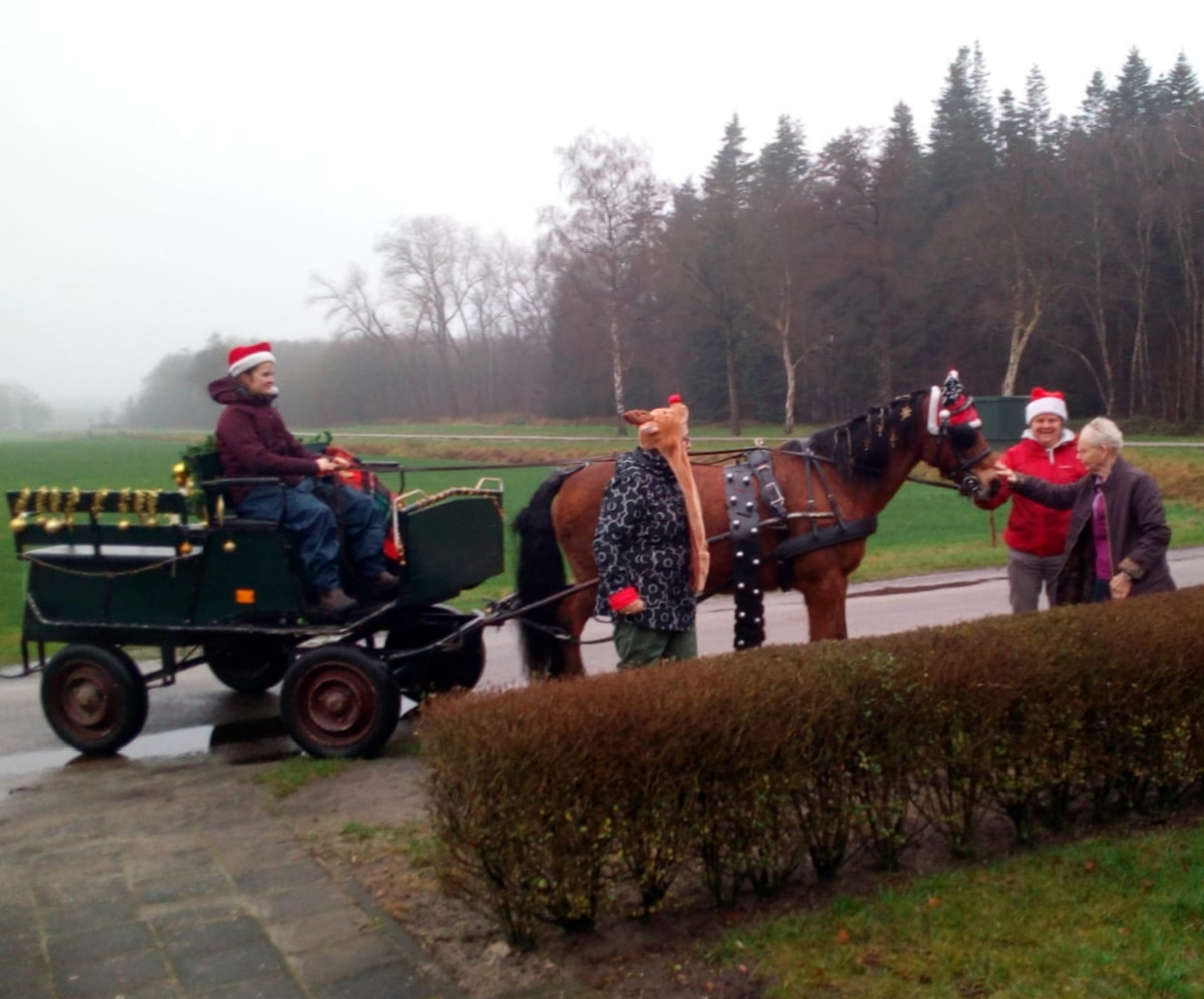 WhatsApp Image 2020-12-23 at 18.52.10 (2).jpeg