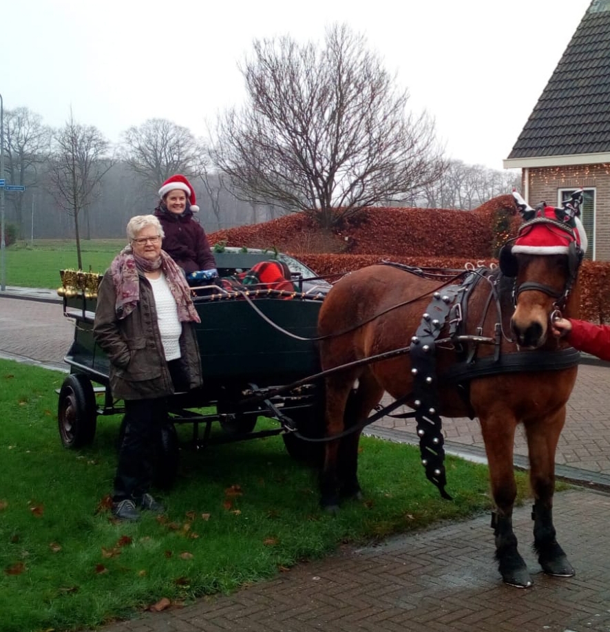 WhatsApp Image 2020-12-23 at 18.52.10 (3).jpeg